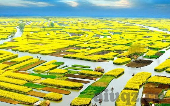 av无码免费麻豆影院-探索成人影片合乎情理的界限，自由与责任